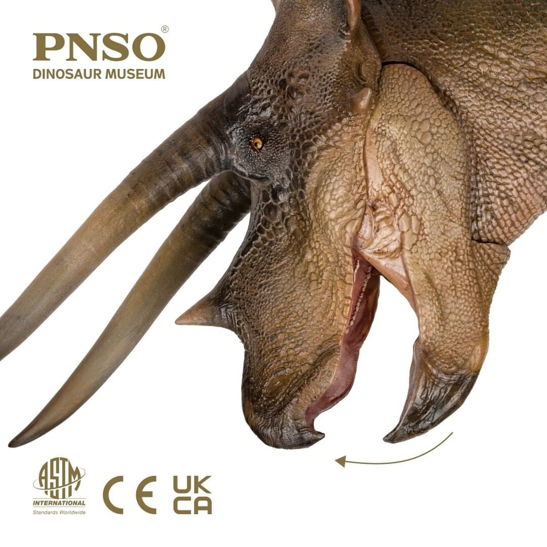 PNSO 2021 NEW Doyle Triceratops + Teschio dinosauro linea museale in scala 1:35