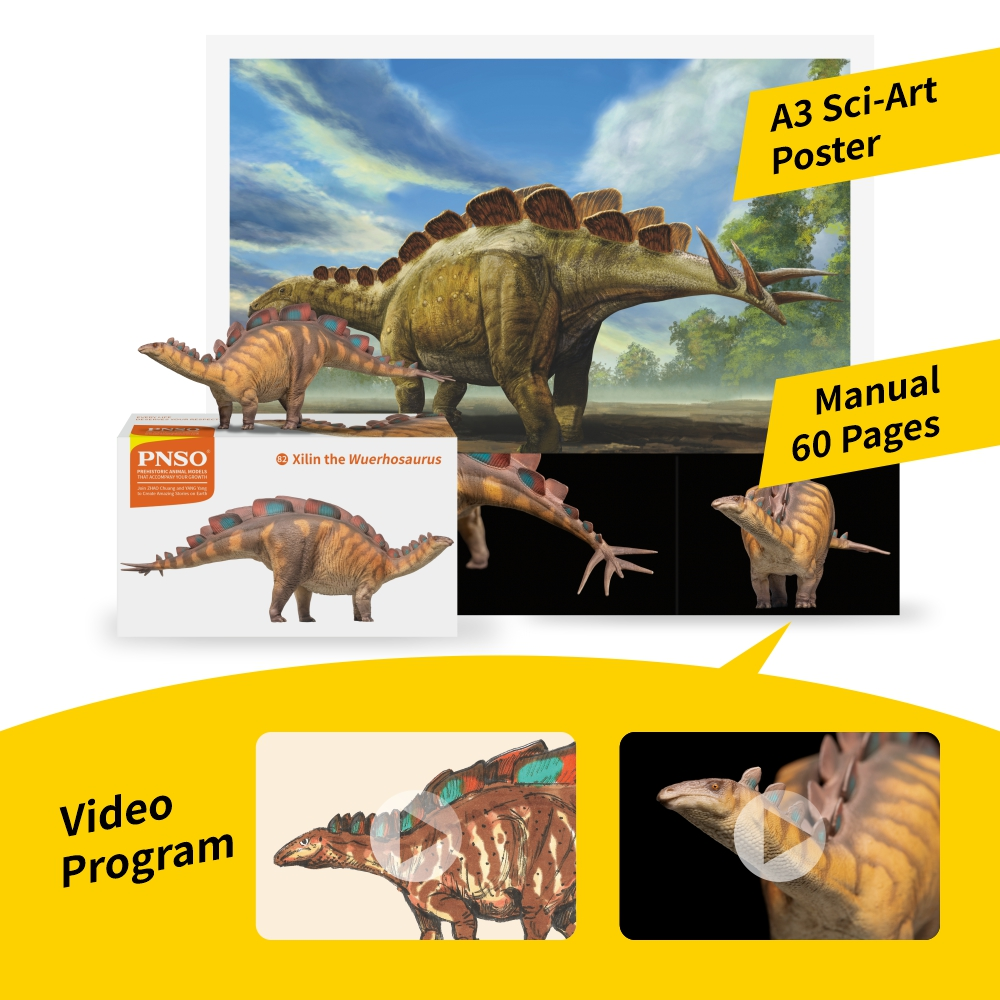 PNSO 2024 Xilin lo Wuerhosaurus -  Dinosauro stegosauride in scala 1:35