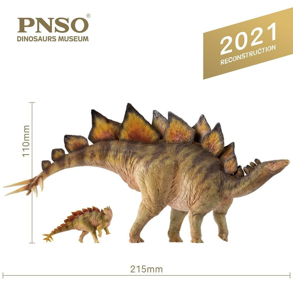 PNSO 2021 Biber lo Stegosaurus & Rook dinosauro linea museale in scala 1:35