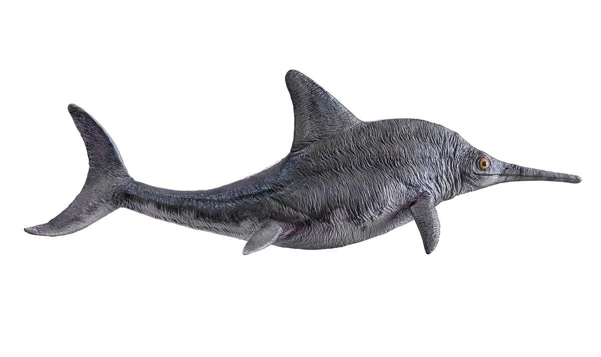 PNSO Brook the Ophthalmosaurus - modello rettile marino ittiosauro