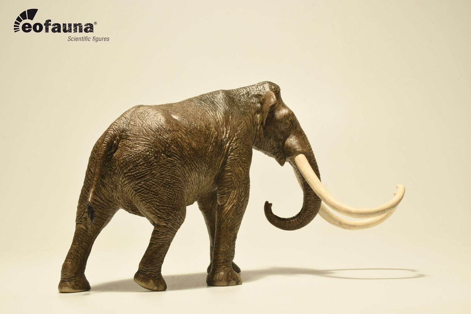 Eofauna Colombian Mammoth - Mammuthus columbi - Scala 1:35 antico elefante
