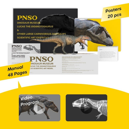 PNSO 2023 Lucas il Giganotosaurus dinosauro linea museale in scala 1:35