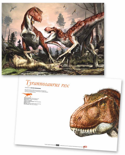 Stampe Artistiche Prehistoric Minds 29,7 x 42 cm Stampa offset fronte e retro