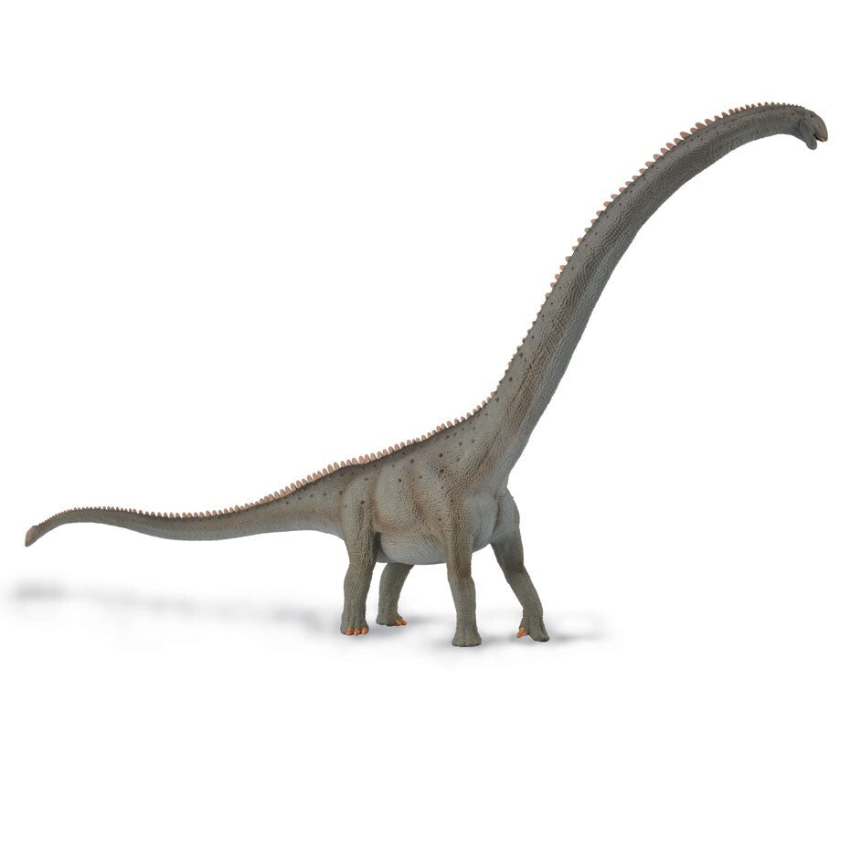CollectA 88908 2020 Mamenchisaurus model Deluxe 1:100 Scale dinosauro sauropode