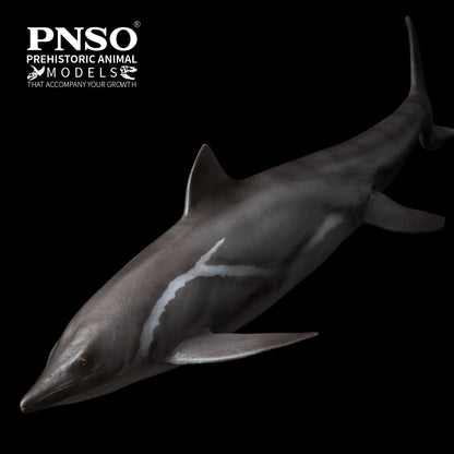 PNSO 2025 Yuanlin the Guanlingsaurus - modello di rettile marino ittiosauro