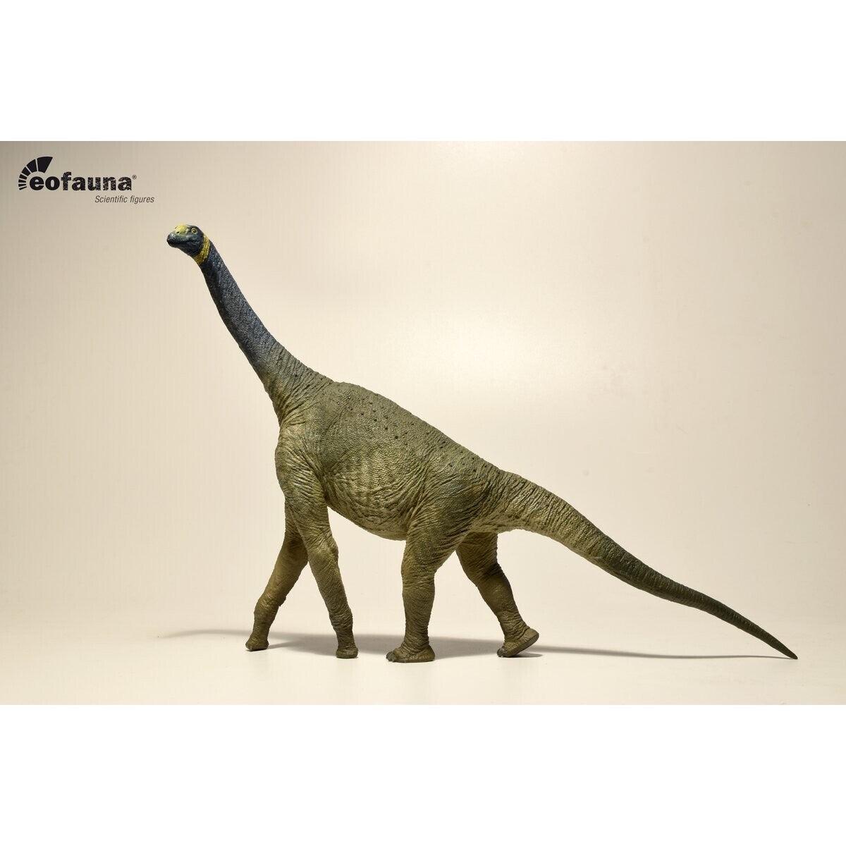 Eofauna Atlasaurus imelakei model 1:40 scale - Modello di Dinosauro sauropode