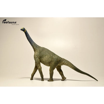 Eofauna Atlasaurus imelakei model 1:40 scale - Modello di Dinosauro sauropode