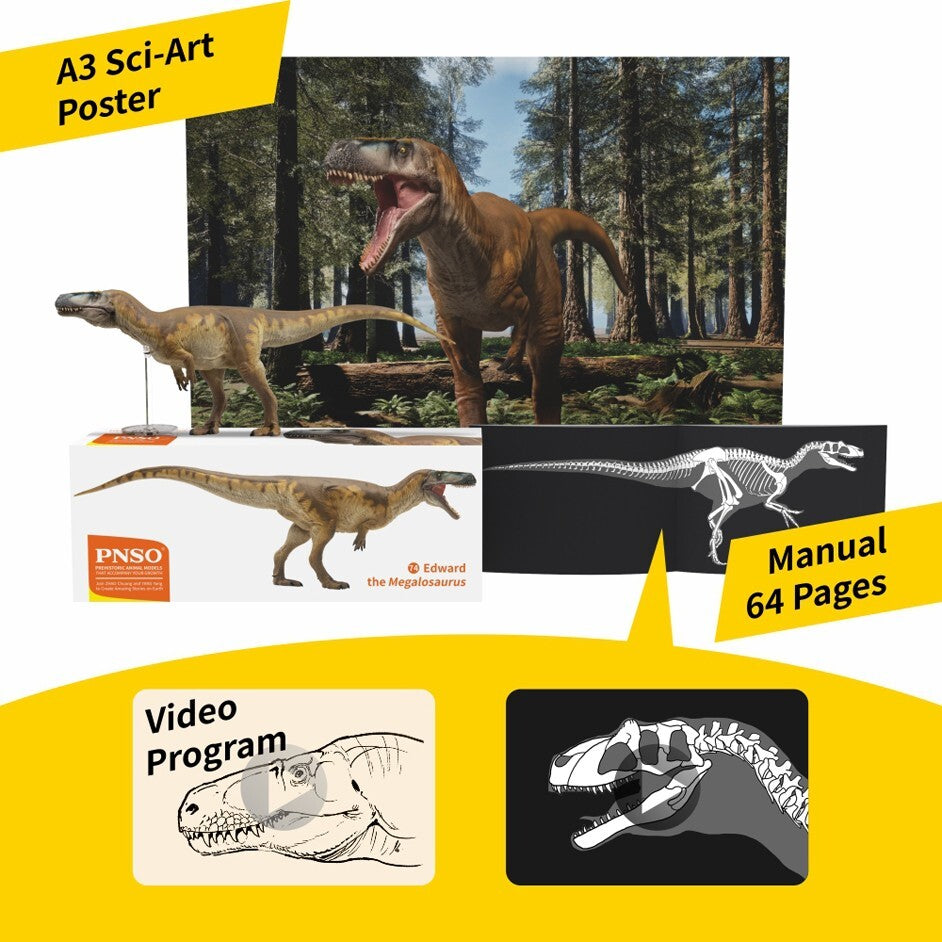 PNSO 2023 Edward il Megalosaurus dinosauro in scala 1:35 - mandibola mobile