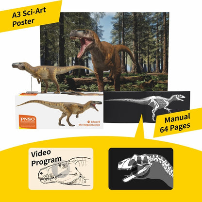 PNSO 2023 Edward il Megalosaurus dinosauro in scala 1:35 - mandibola mobile