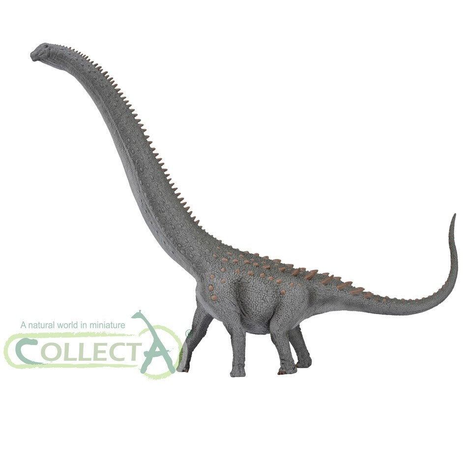 CollectA 88971 2023 Ruyangosaurus Deluxe 1:100 Scale Modello Dinosauro sauropode