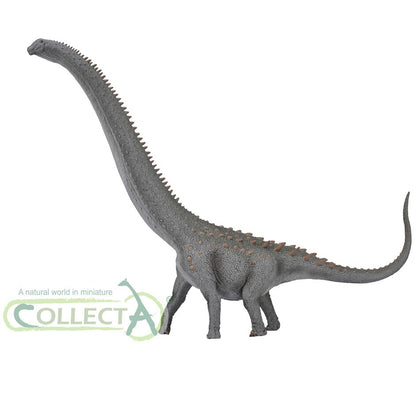 CollectA 88971 2023 Ruyangosaurus Deluxe 1:100 Scale Modello Dinosauro sauropode
