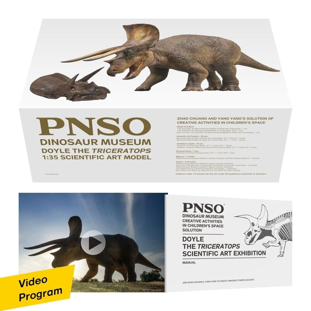 PNSO 2021 NEW Doyle Triceratops + Teschio dinosauro linea museale in scala 1:35