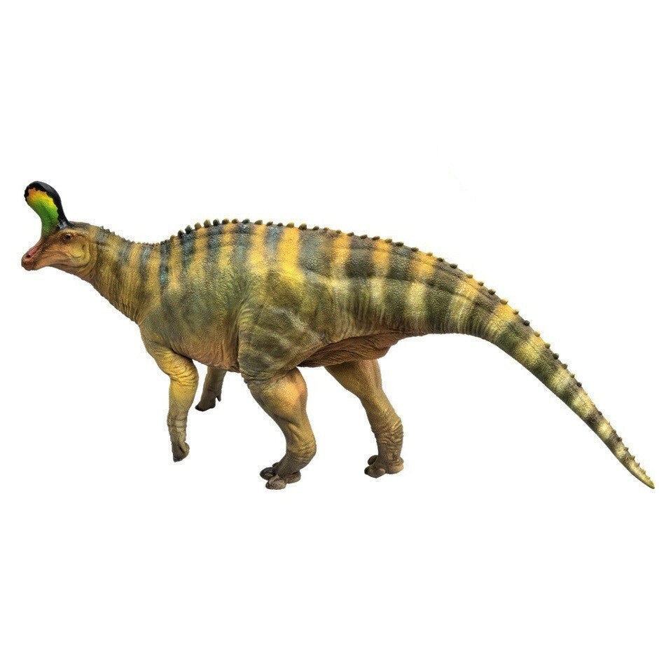 PNSO 2022 Xiaoqin lo Tsintaosaurus dinosauro linea museale in scala 1:35