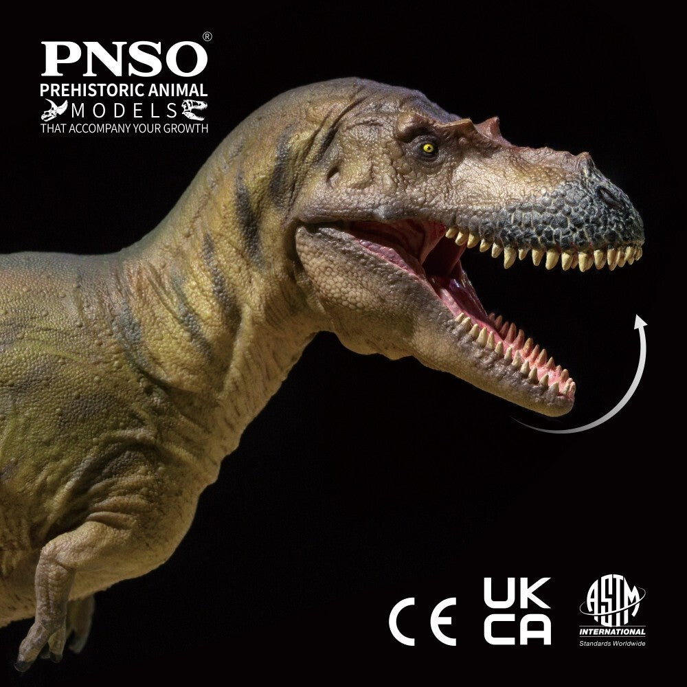 PNSO 2023 Wally Albertosaurus dinosauro in scala 1:35 - mandibola mobile
