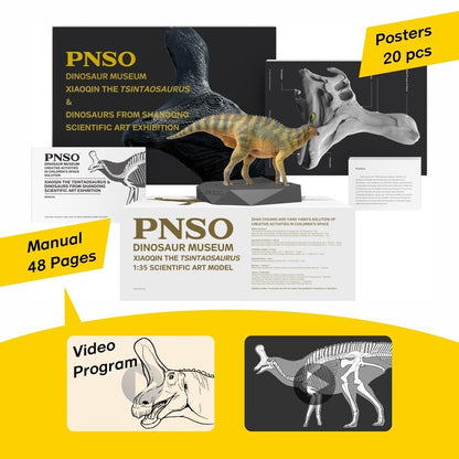 PNSO 2022 Xiaoqin lo Tsintaosaurus dinosauro linea museale in scala 1:35