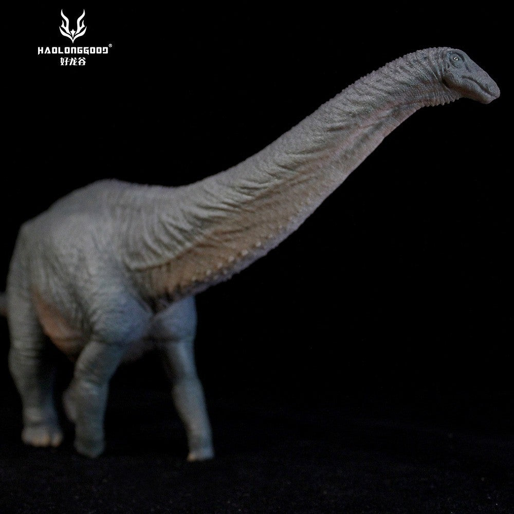 HLG Apatosaurus HuangXin Haolonggood - modello di dinosauro scala 1:35