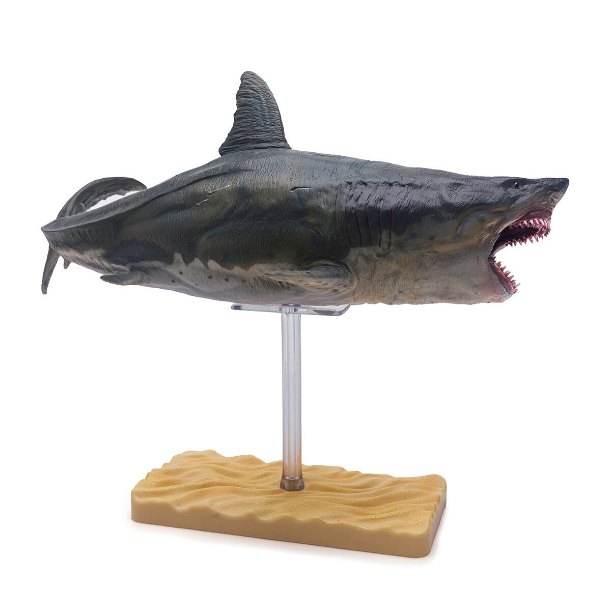 PNSO Patton il Megalodon - modello squalo preistorico