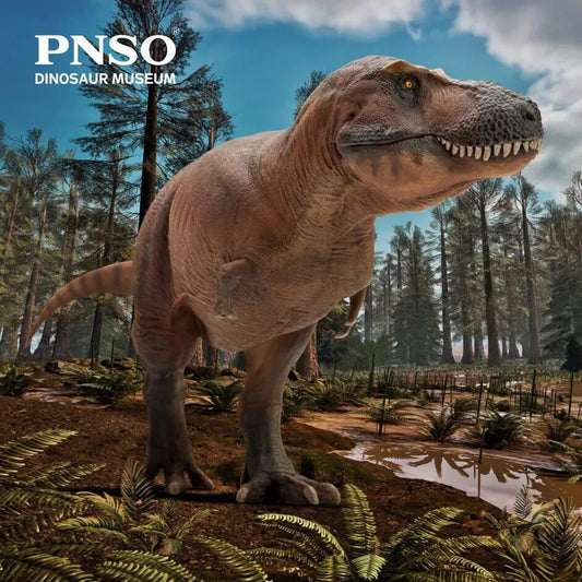 PNSO Cameron il Tyrannosaurus rex dinosauro linea museale  SCATOLE DANNEGGIATE