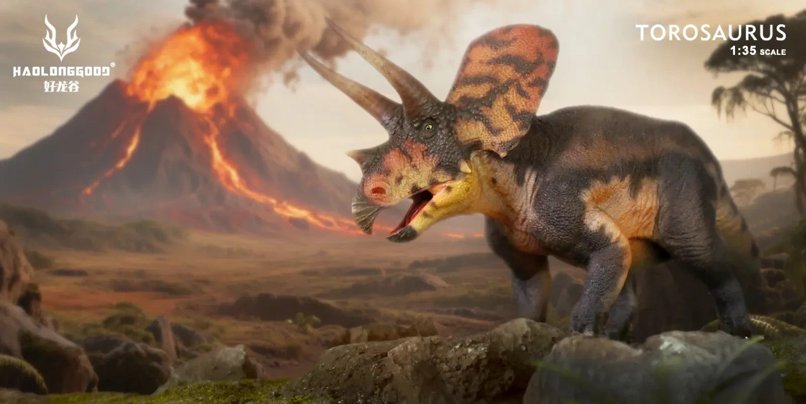 Haolonggood 179  Torosaurus Shan Xiong Xin - modello di dinosauro scala 1:35