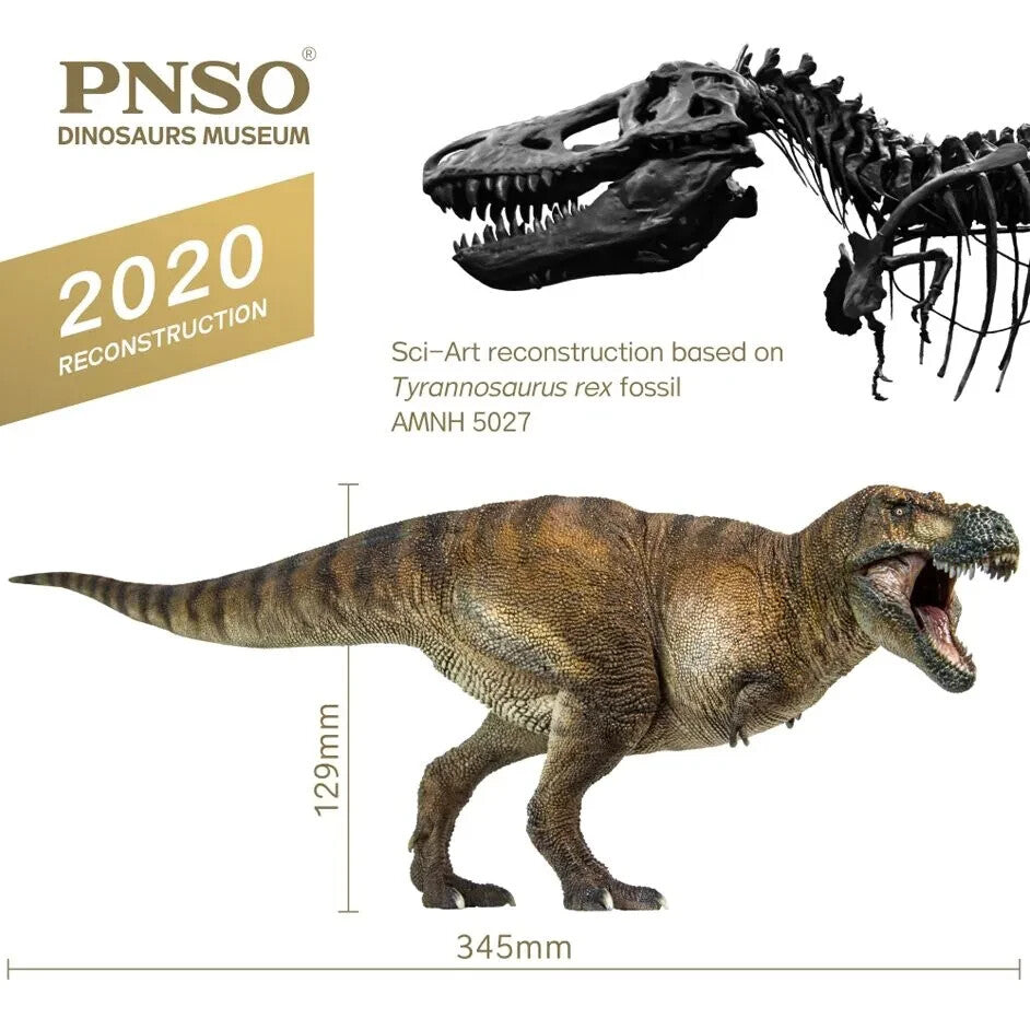 PNSO 2020 Wilson il Tyrannosaurus rex dinosauro Linea Museale - Scala 1.35