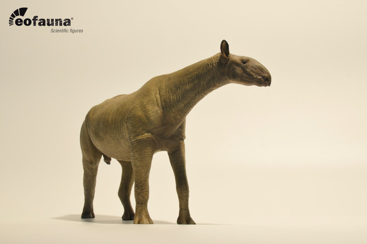Eofauna 14 Paraceratherium grangeri Modello Scala 1:35