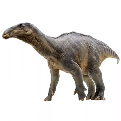 PNSO 2021 Harvey l'Iguanodon dinosauro linea museale in scala 1:35