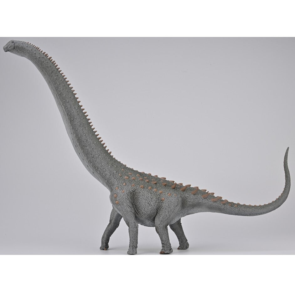 CollectA 88971 2023 Ruyangosaurus Deluxe 1:100 Scale Modello Dinosauro sauropode