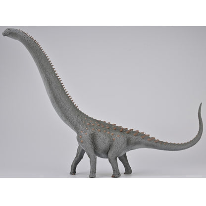 CollectA 88971 2023 Ruyangosaurus Deluxe 1:100 Scale Modello Dinosauro sauropode