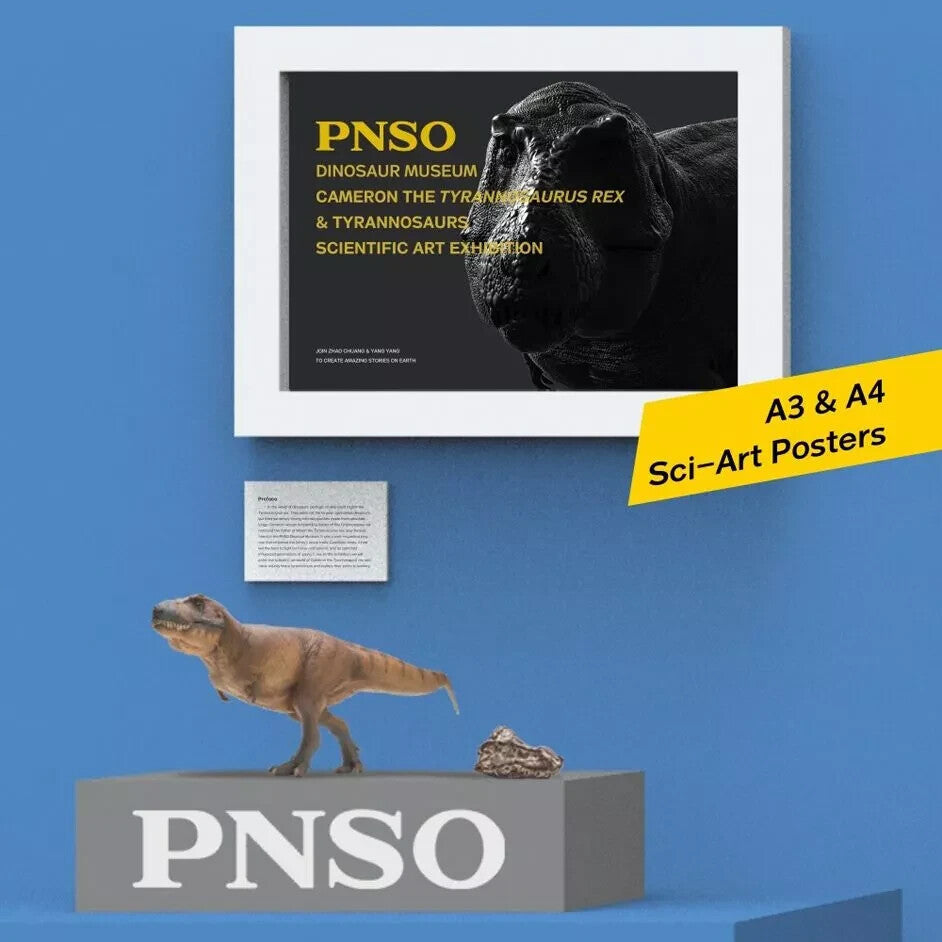 PNSO Cameron il Tyrannosaurus rex dinosauro linea museale  SCATOLE DANNEGGIATE