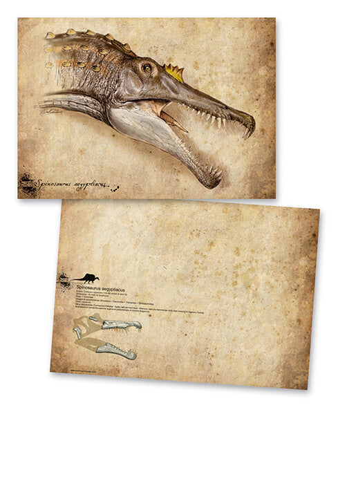 Stampe Artistiche Prehistoric Minds 29,7 x 42 cm Stampa offset fronte e retro