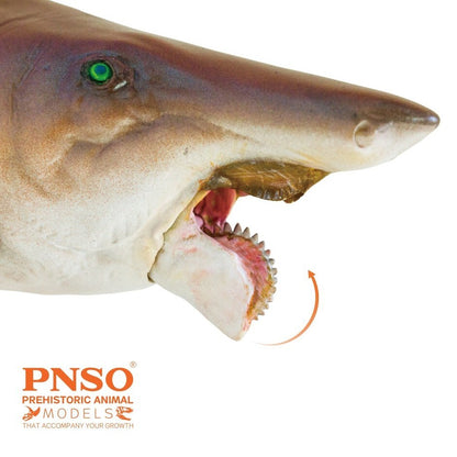 PNSO 2021  Haylee the Helicoprion - pesce preistorico con mandibola mobile