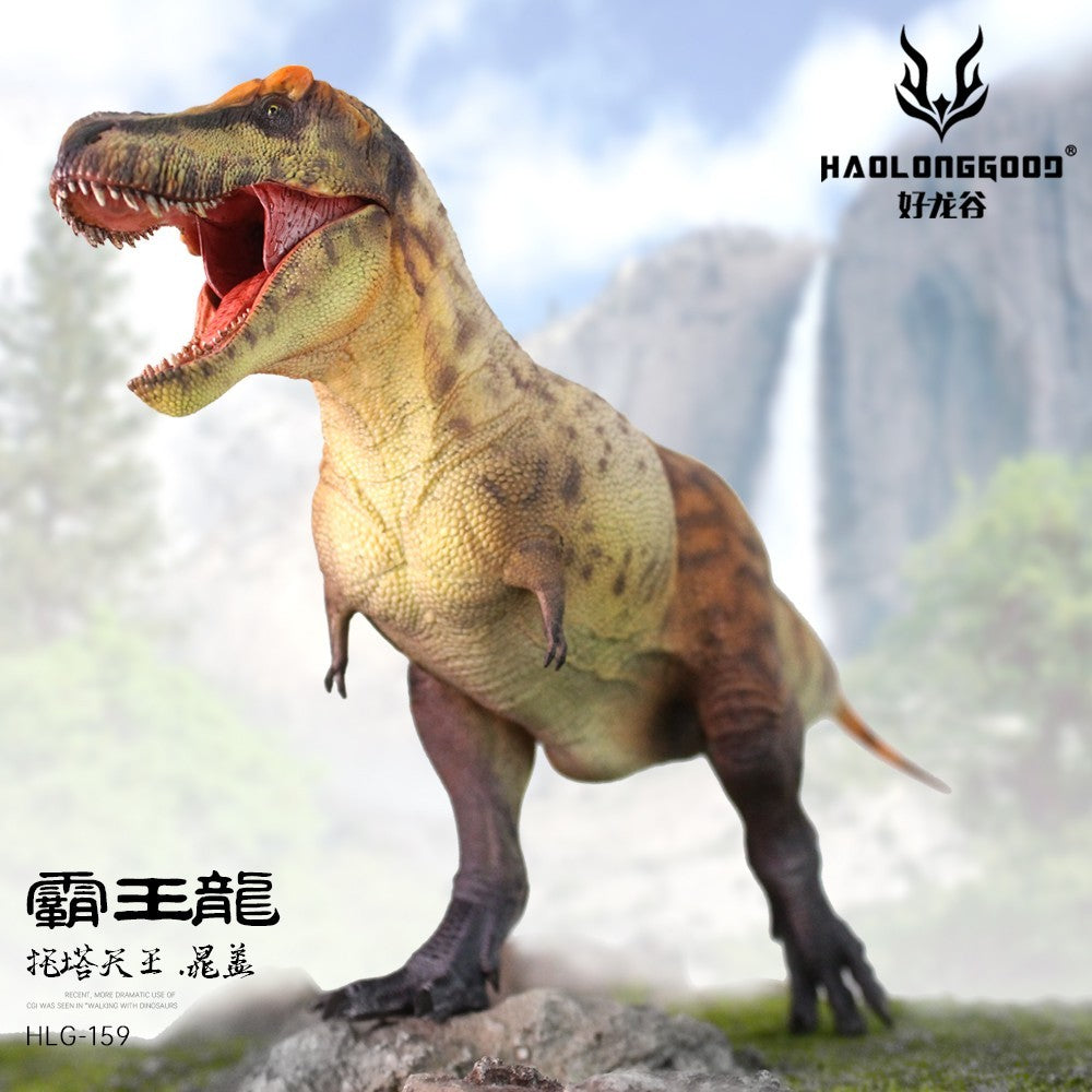 HLG 159-160 Tyrannosaurus rex Haolonggood modello dinosauro 1:35  2 colorazioni