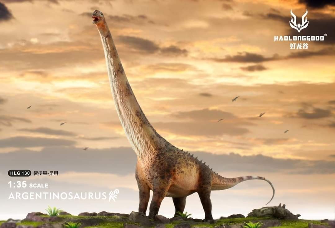 HLG 130 Argentinosaurus Wu Yong Haolonggood - modello di dinosauro scala 1:35