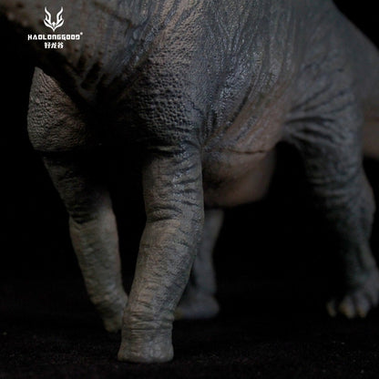 HLG Apatosaurus HuangXin Haolonggood - modello di dinosauro scala 1:35