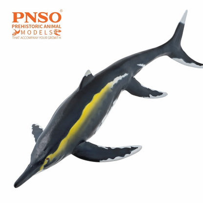 PNSO 2025 Youran the Guizhouichthyosaurus - modello di rettile marino ittiosauro
