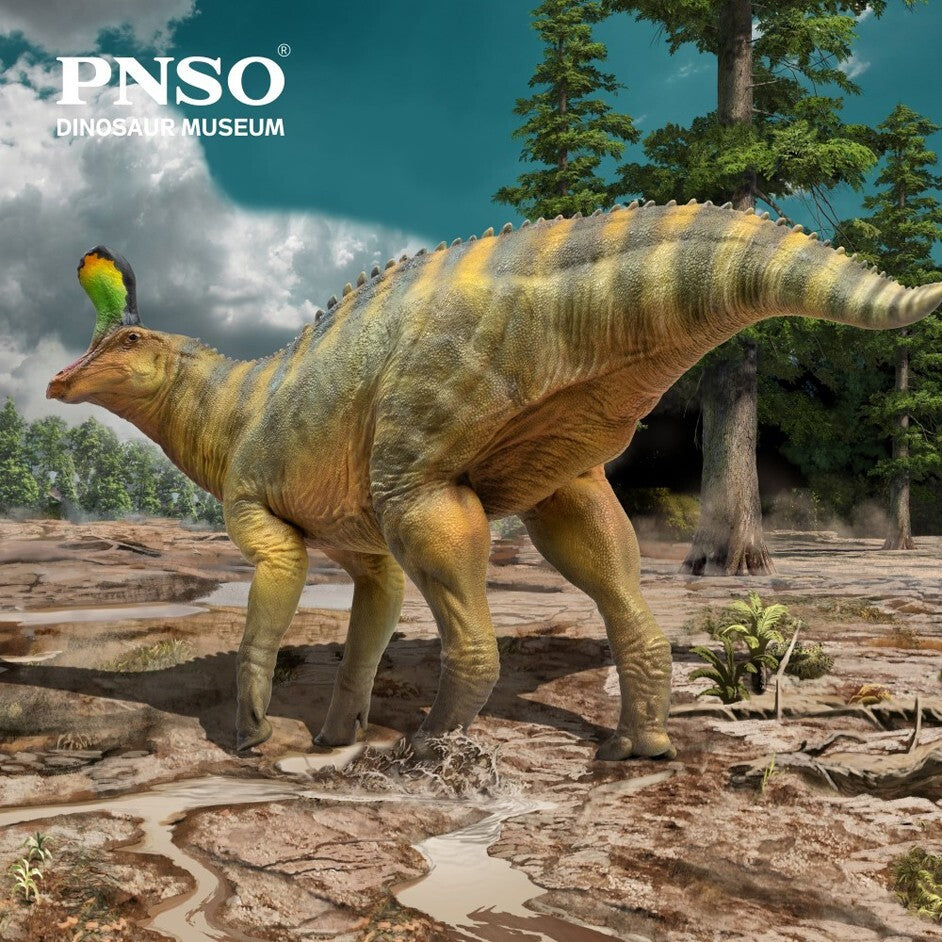 PNSO 2022 Xiaoqin lo Tsintaosaurus dinosauro linea museale in scala 1:35