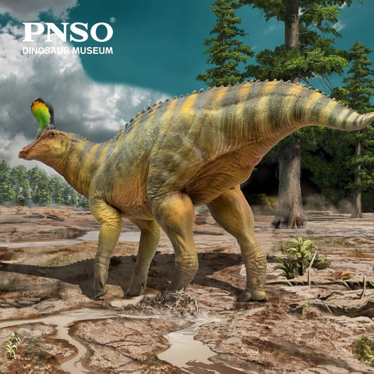 PNSO 2022 Xiaoqin lo Tsintaosaurus dinosauro linea museale in scala 1:35