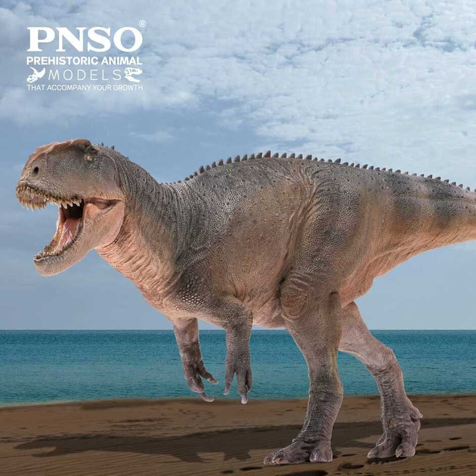 PNSO 2022  Xinchuan il Sinraptor - dinosauro in scala 1:35 - mandibola mobile