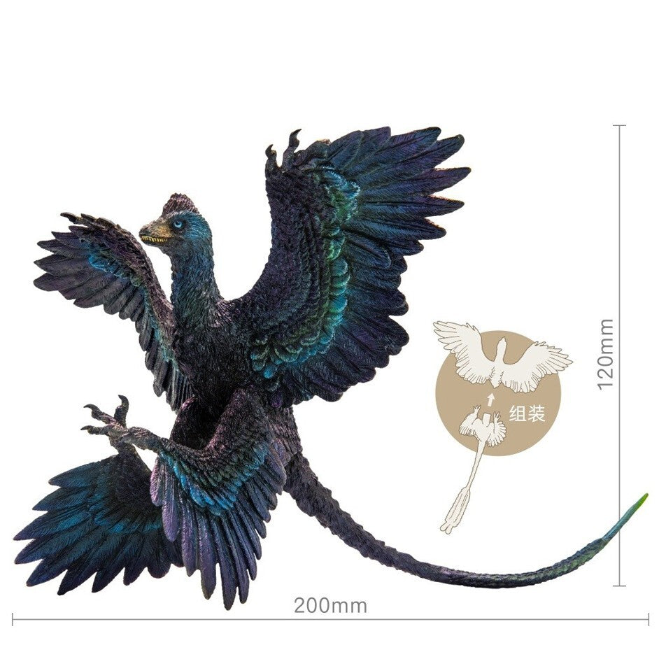 PNSO 2020 Gaoyuan the Microraptor - dinosauro piumato