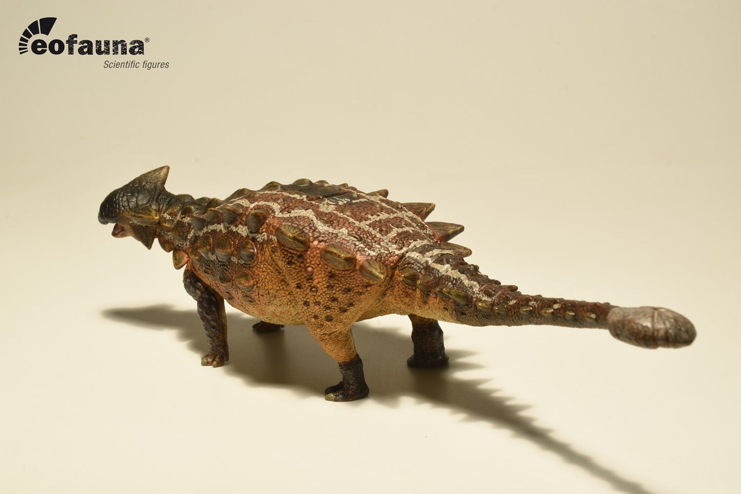 Eofauna Ankylosaurus magniventris - Modello di Dinosauro in scala 1:35