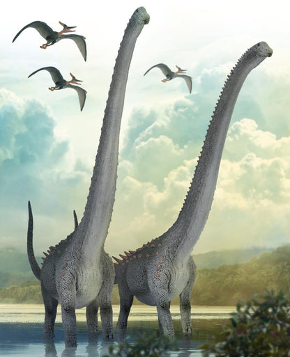 CollectA 88971 2023 Ruyangosaurus Deluxe 1:100 Scale Modello Dinosauro sauropode