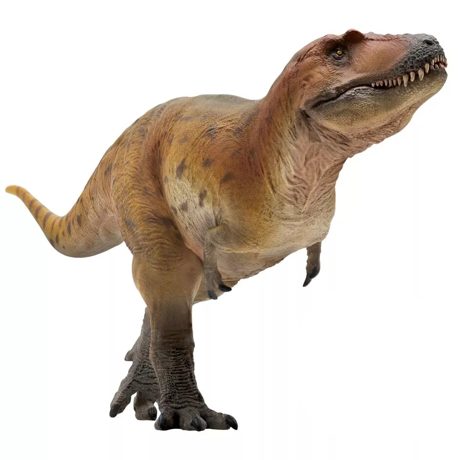 PNSO 2023 Keynes il Lythronax - dinosauro in scala 1:35 - mandibola mobile