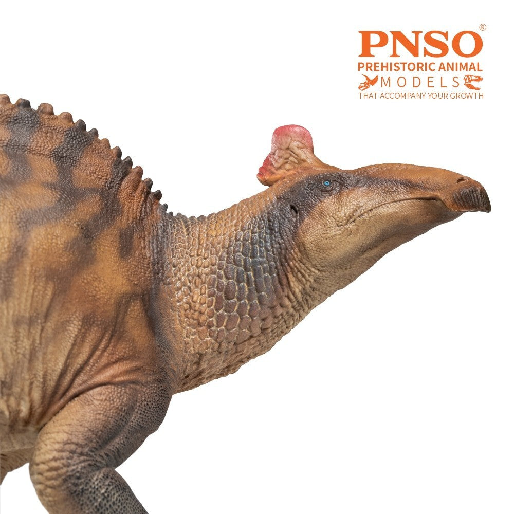 PNSO 2024 Zabad Edmontosaurus dinosauro in scala 1:35