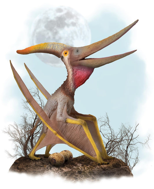 CollectA 88912 Pteranodon Deluxe 1:15 scale Model pterosauro mandibola movibile