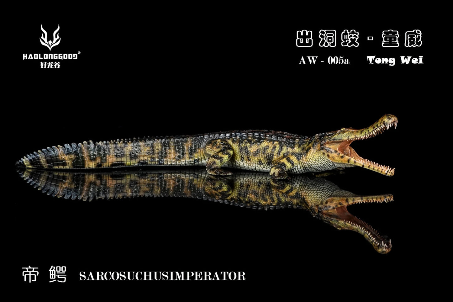 Haolonggood AW 005a Sarcosuchus imperator Tong Wei - coccodrillomorfo scala 1:35