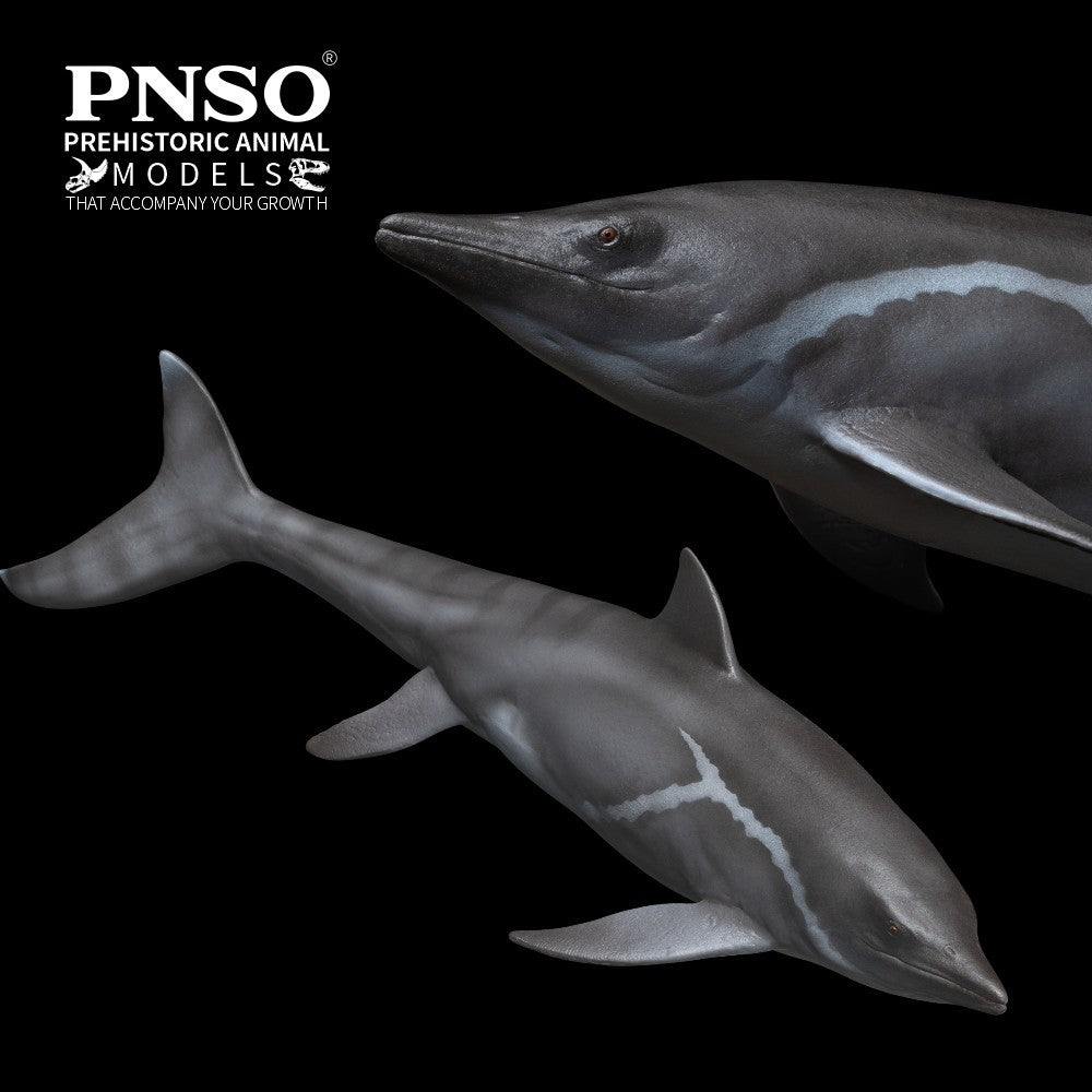 PNSO 2025 Yuanlin the Guanlingsaurus - modello di rettile marino ittiosauro