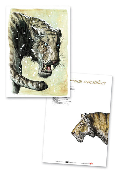 Stampe Artistiche Prehistoric Minds 29,7 x 42 cm Stampa offset fronte e retro