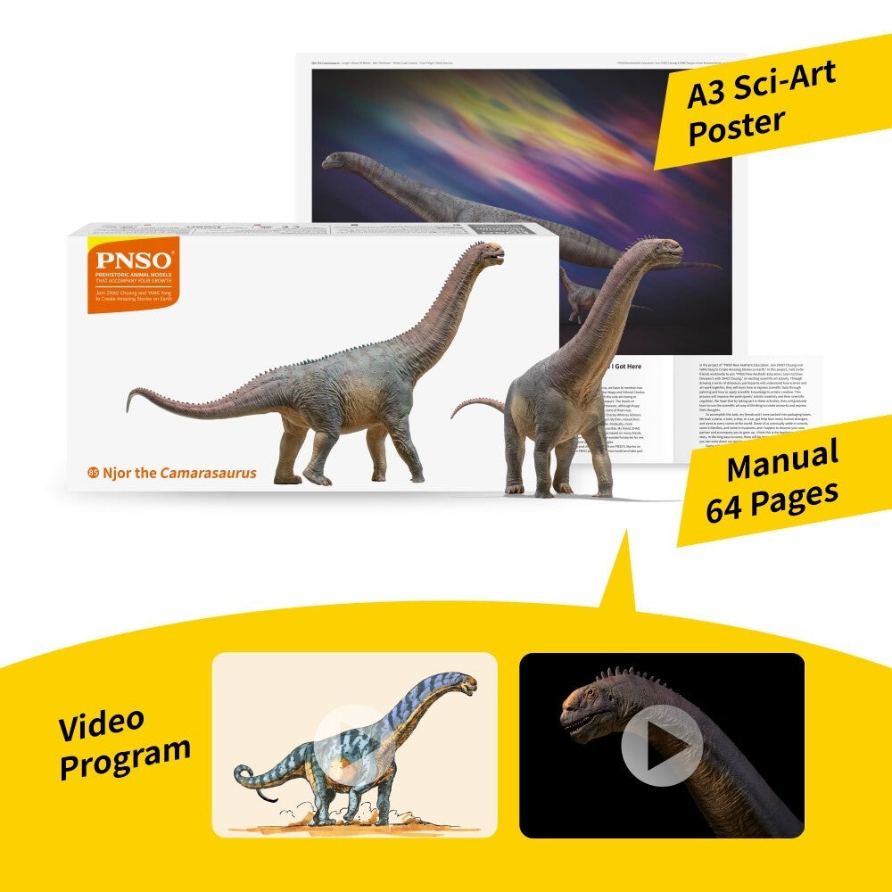 PNSO 2024 Njor il Camarasaurus dinosauro in scala 1:35