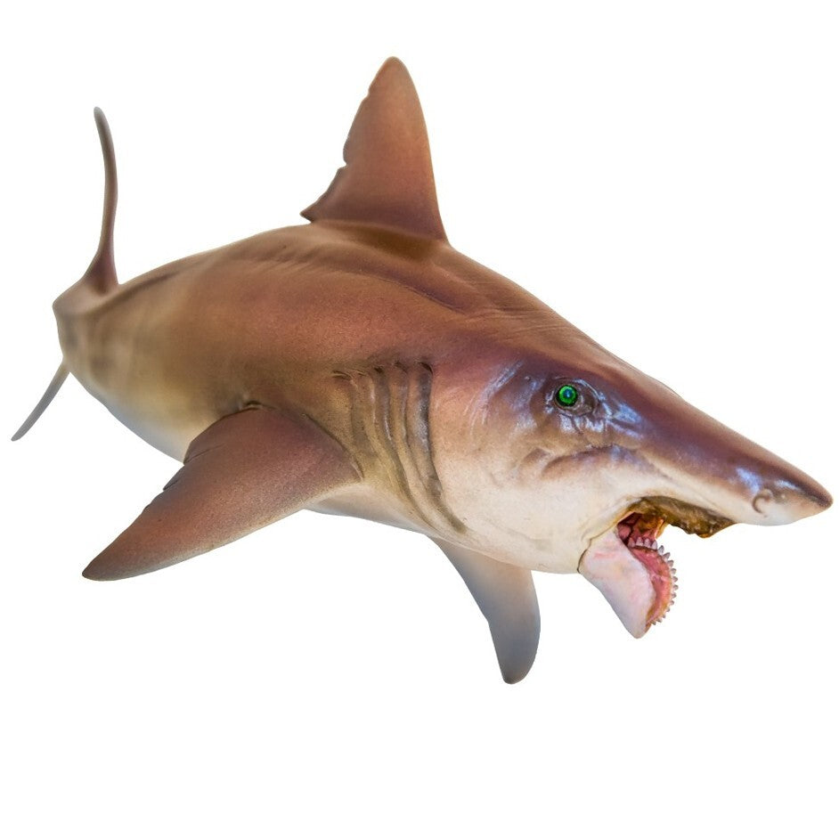 PNSO 2021  Haylee the Helicoprion - pesce preistorico con mandibola mobile