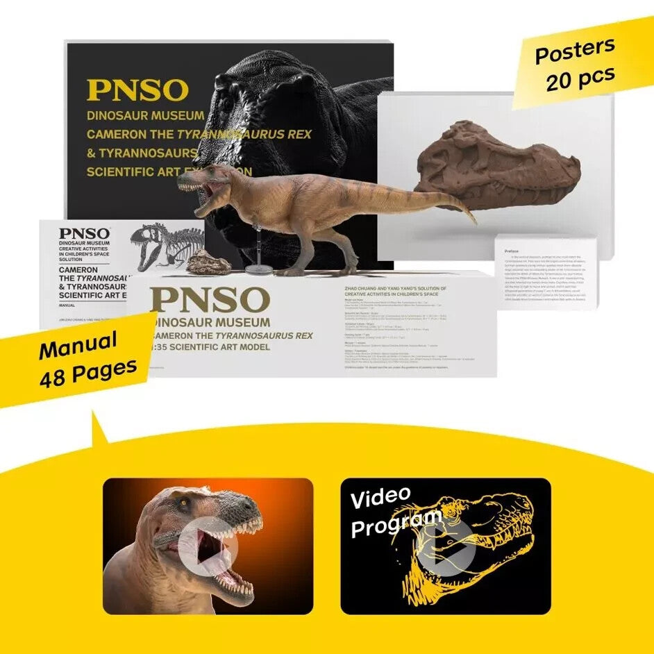 PNSO 2023 Cameron Tyrannosaurus rex - dinosauro T.rex scala 1:35 linea museale